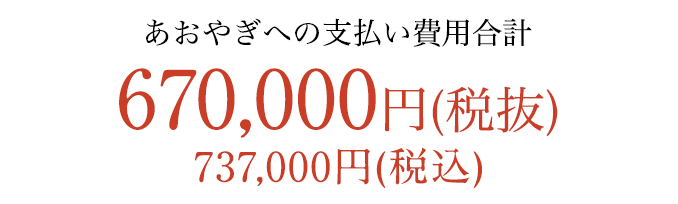 すべて含めて 670,000円税別（737,000円税込）