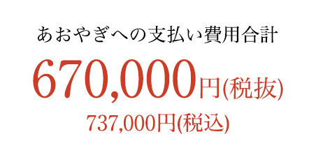 すべて含めて 670,000円税別（737,000円税込）