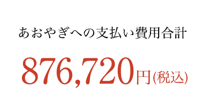 あおやぎへの支払い費用合計 876,720円(税込)