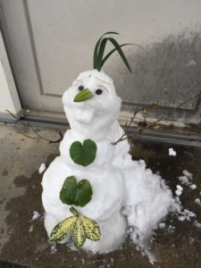 写真：フユノオモイデ