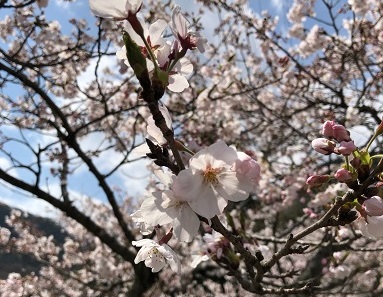 写真：家族と…