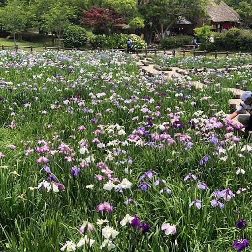 イメージ：季節を感じて