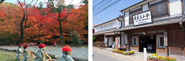 イメージ：あおやぎバスハイクのご案内 11月長門湯本・古刹紅葉の旅プラン