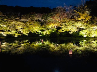 イメージ：武雄の紅葉