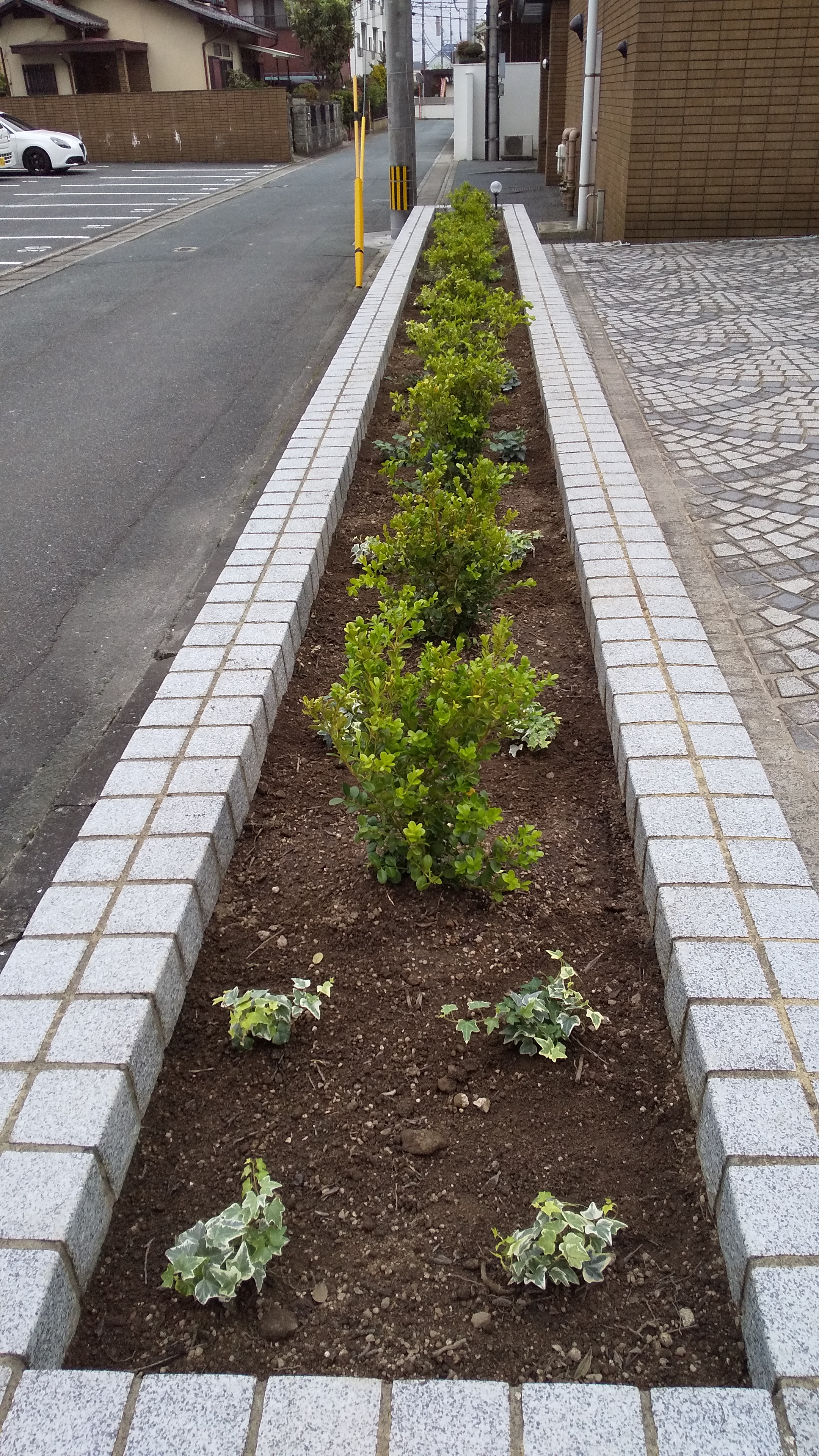 イメージ：西会館の花壇。