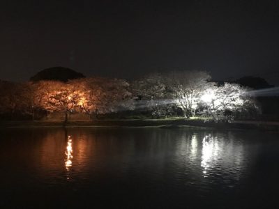 写真：来年は・・