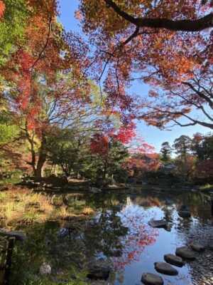 写真：友泉亭公園の紅葉🍁