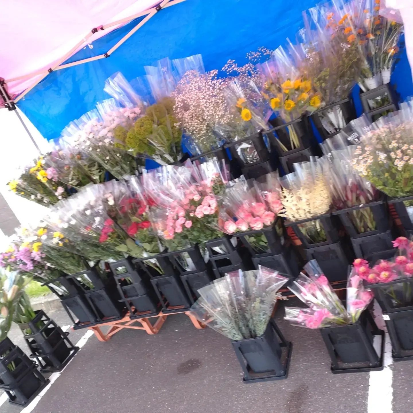 写真：若杉会館　お花の移動販売