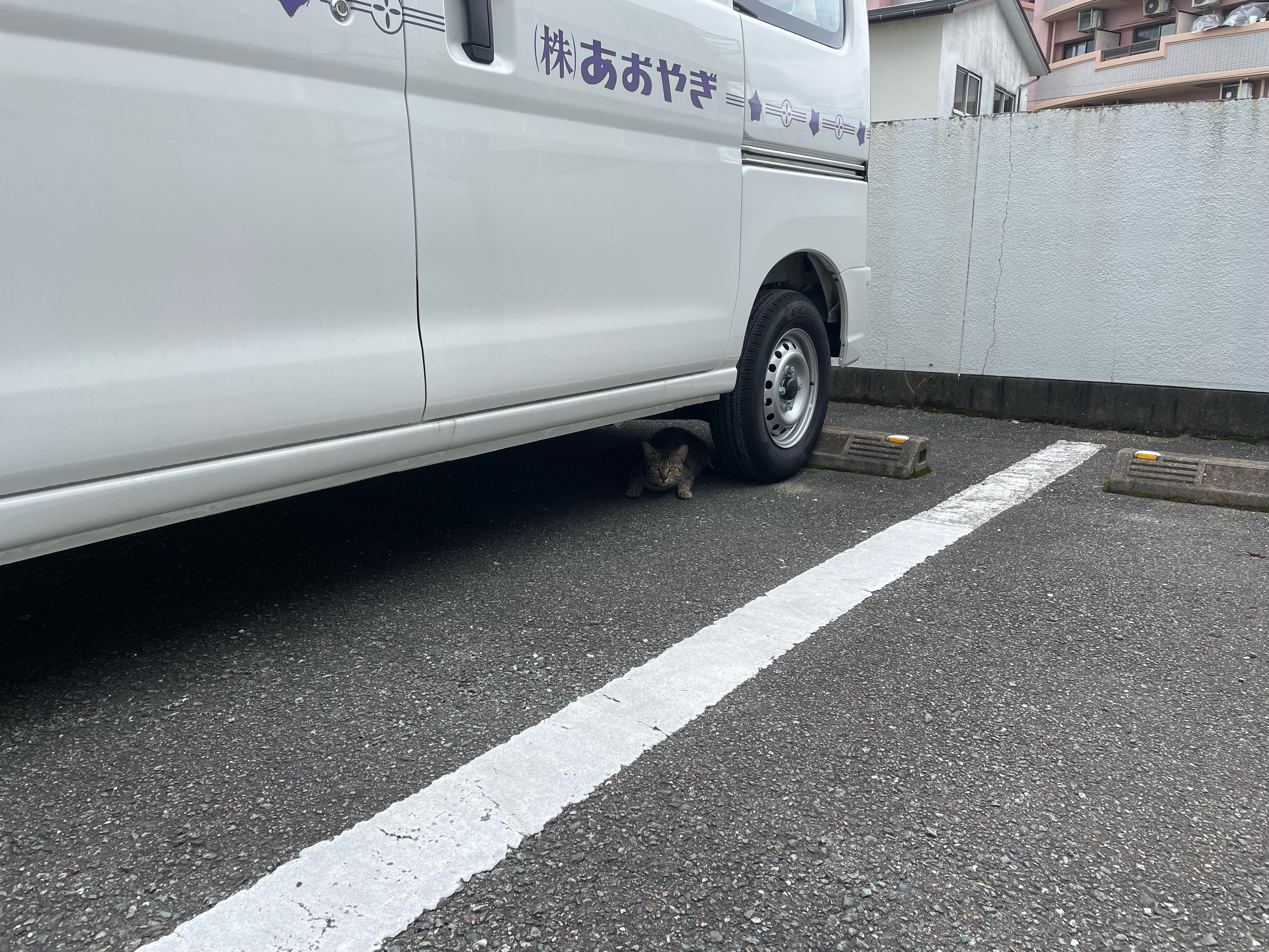 イメージ：乗車前は気を付けてください！