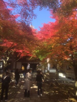 写真：紅葉