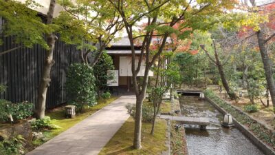 写真：西の丘　梅の花