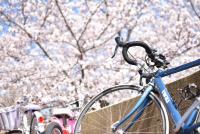 写真：春の陽気