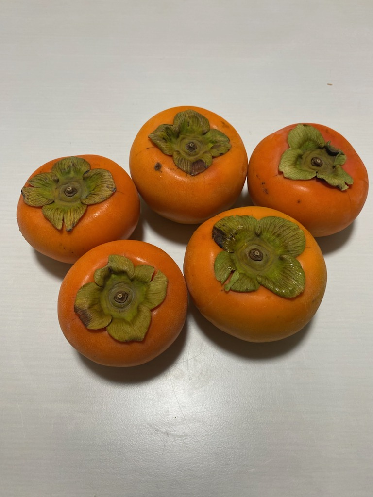 イメージ：秋の味覚