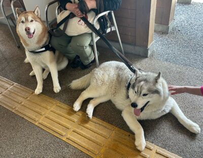 写真：季節を感じる♪