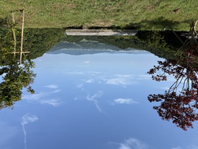 写真：初夏
