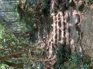 イメージ：修験の霊峰・宝満山を訪ねて