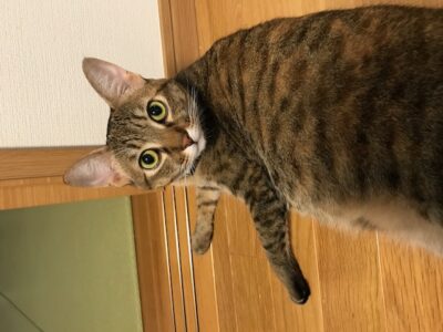 写真：おめでとう！