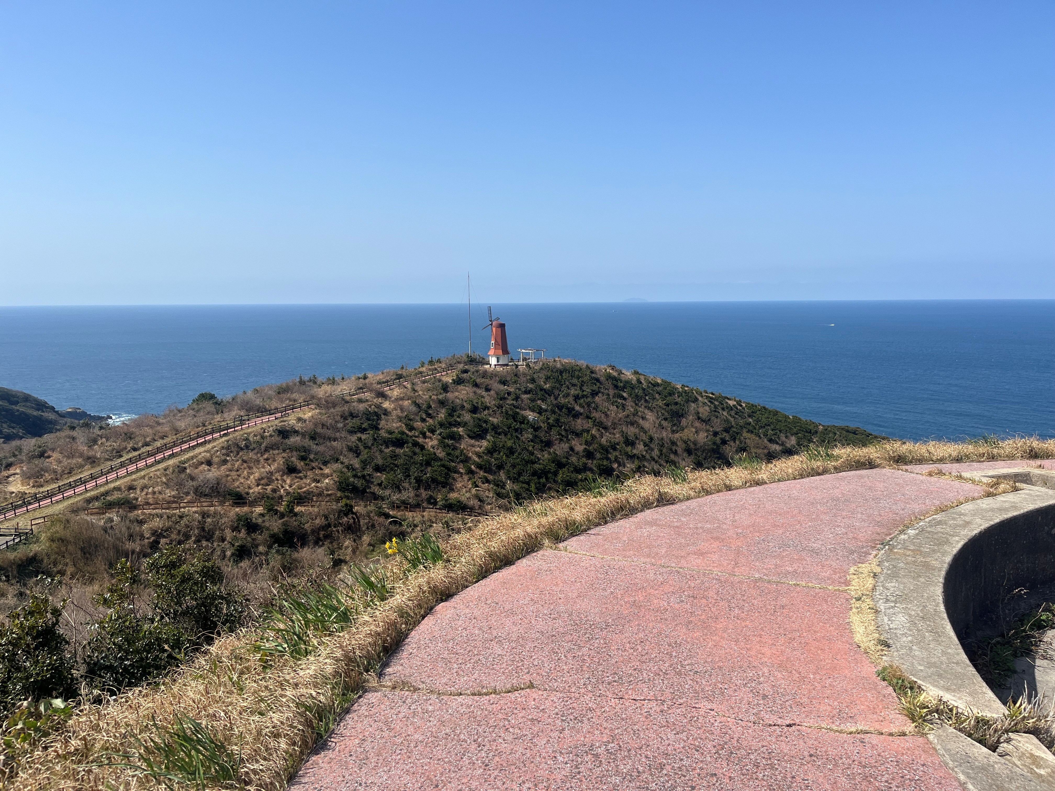 イメージ：大島